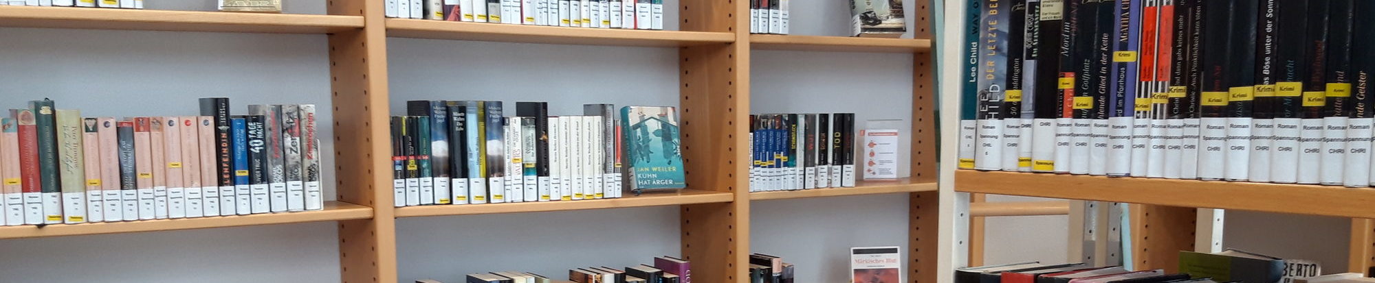 Belletristik der Stadtbibliothek in Lebenstedt