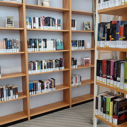 Belletristik der Stadtbibliothek in Lebenstedt