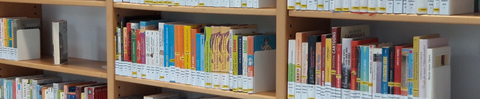 Belletristik der Stadtbibliothek in Lebenstedt