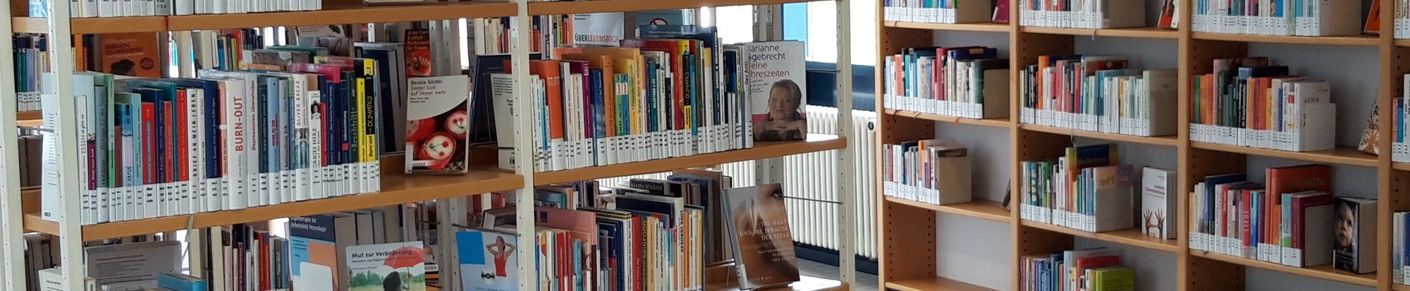 Sachbücher in der Stadtbibliothek Lebenstedt