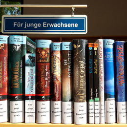 Buchregal "Für Junge Erwachsene"