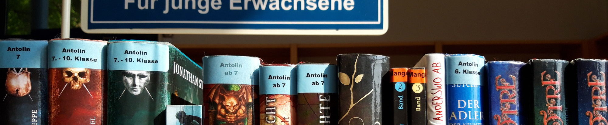 Buchregal "Für Junge Erwachsene"