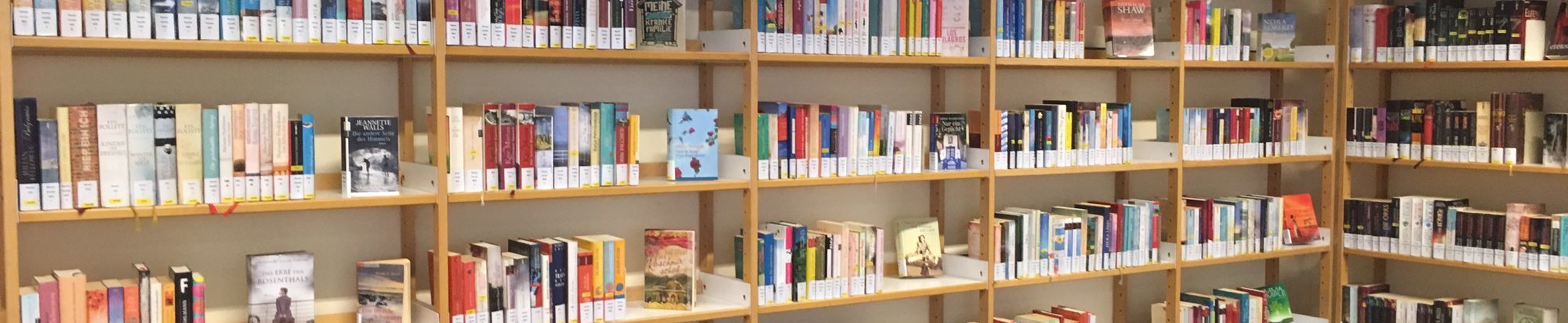 Belletristik der Stadtbibliothek in Fredenberg