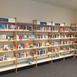 Belletristik der Stadtbibliothek in Fredenberg