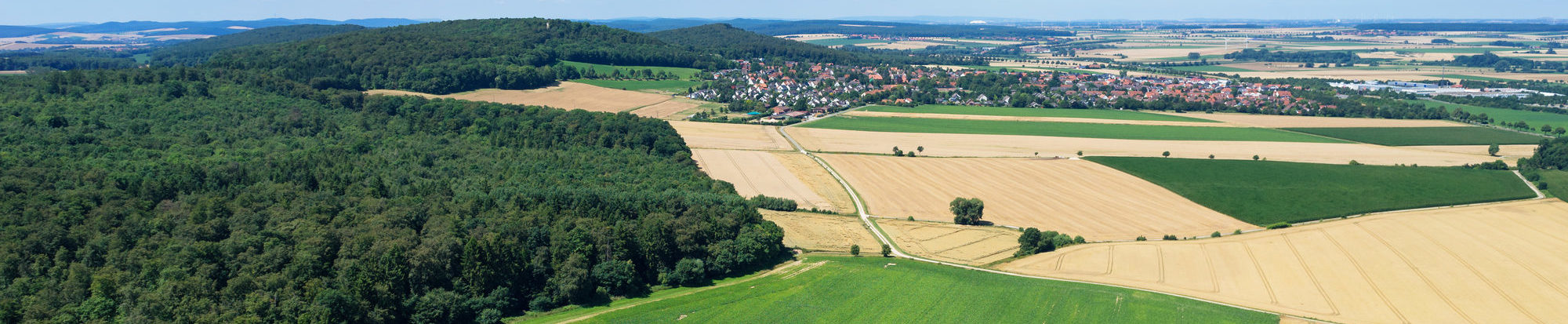 Anpassung an die Klimakrise: Dafür wird ein Konzept erarbeitet.