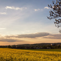 André Kugellis/Stadt Salzgitter