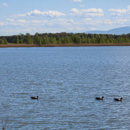 Heerter see