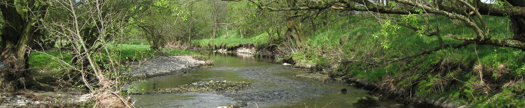 Der Fluss Innerste bei Ringelheim