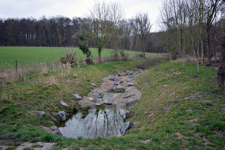 Der renaturierte Rottenbach in der Nähe des Baugebiets