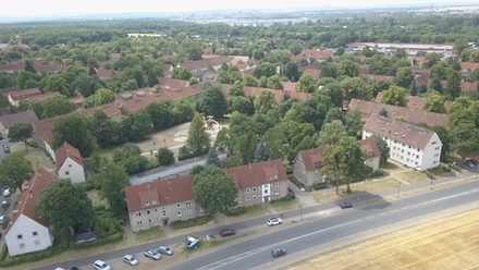 Auf der Danziger Straße werden ab dem 18. Januar zwischen dem Brotweg und dem Schulring Bäume gepflanzt.