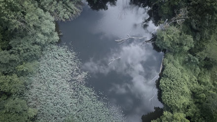 Der Neue Teich aus der Vogelperspektive.