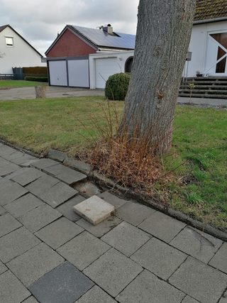 Einsatzbild Ringelheim