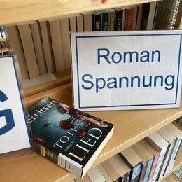 Im Regal klafft eine Lücke, weil alle Bücher des Autoren ausgeliehen sind...