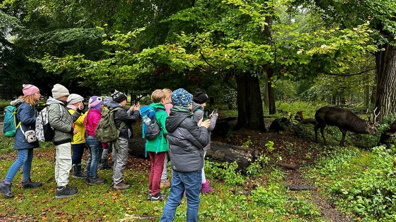 Eine weitere Besonderheit in dieser ersten Ferienwoche war der Besuch des Wisentgeheges in Springe, um all die Tiere der heimischen Tierwelt zu sehen, die man hier nicht unbedingt sieht.