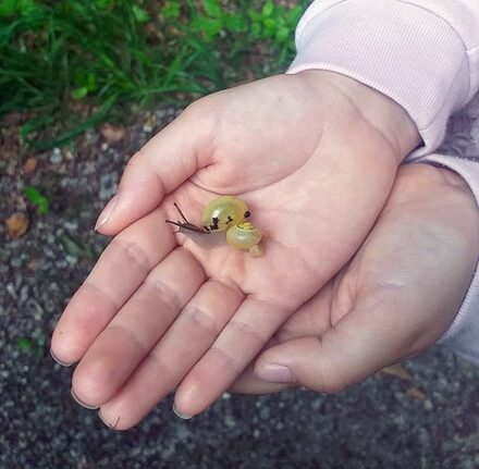 Kinder lernen die Natur in vielen Kursen ganz praktisch kennen.