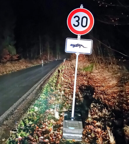 Geschwindigkeitsbeschränkung wegen Krötenwanderung: Im Oelbertal sind die Amphibien unterwegs.