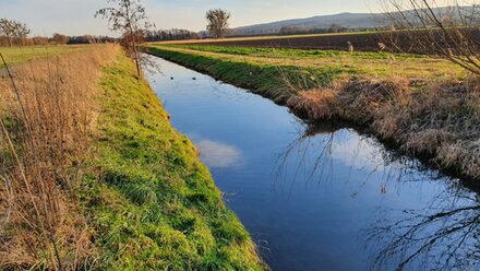 Die Fuhse soll zwischen der Theodor-Heuss-Straße und der Autobahn 39 einen neuen Verlauf und mehr Raum bekommen: Die Stadt Salzgitter und die beteiligten Büros stellten rund 60 Bürgerinnen und Bürgern das geplante Renaturierungsprojekt vor.