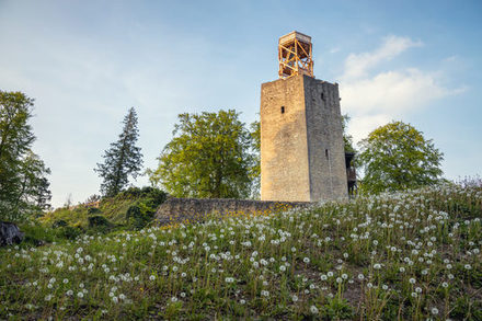 Burgruine Lichtenberg