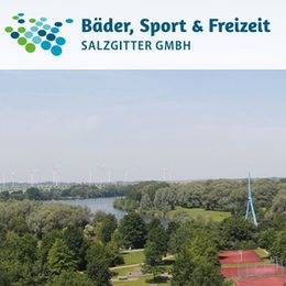 Internetseite der BSF