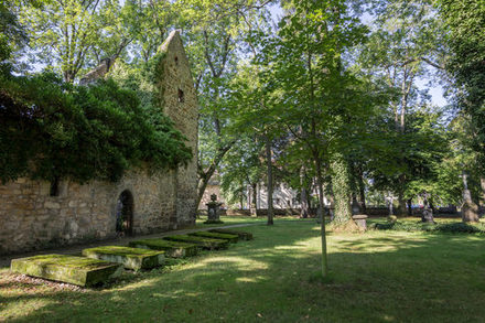 Vöppstedter Ruine