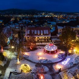 Der erleuchtete Rosengarten 2023